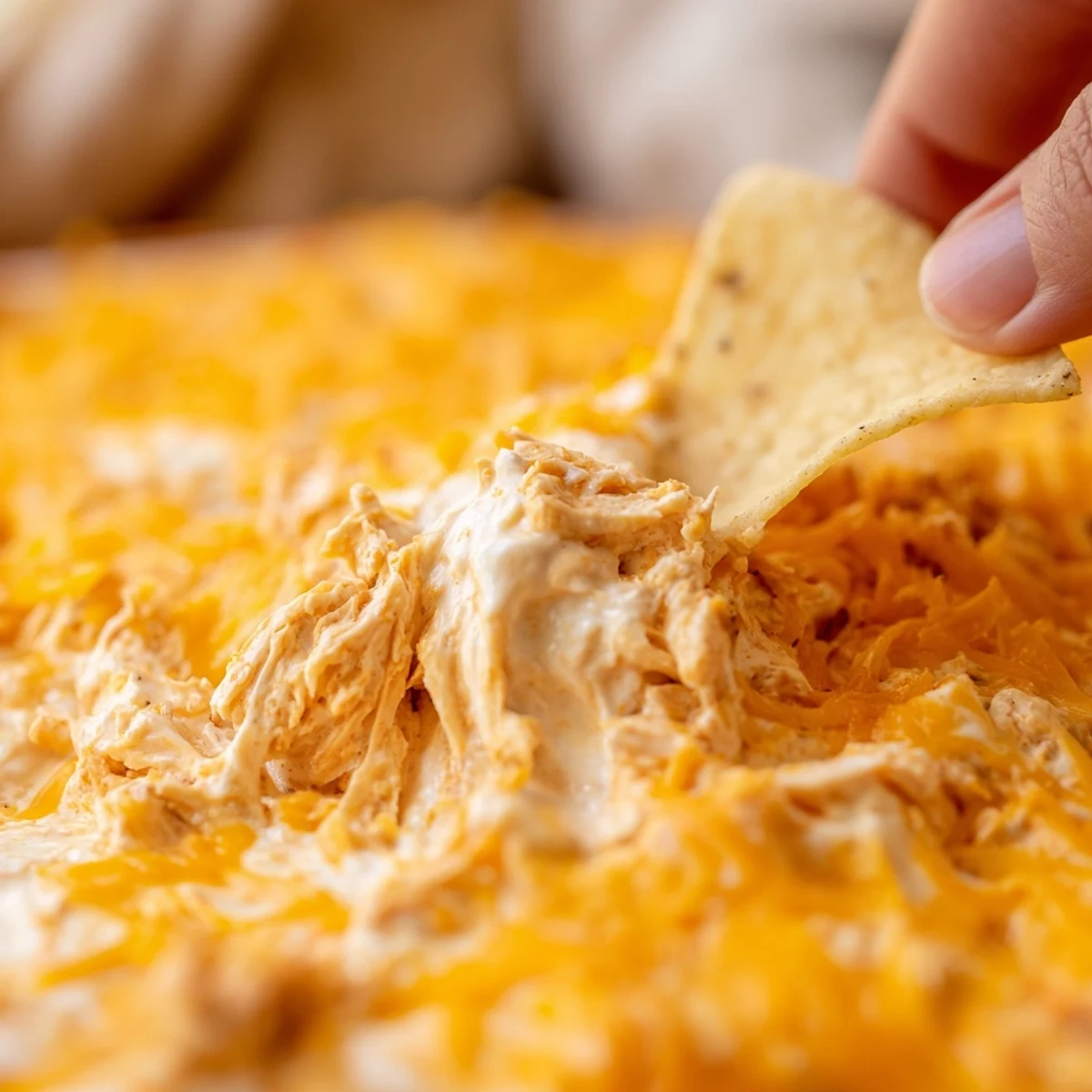 Golden, bubbly Game Day Buffalo Chicken Dip is scooped up by crunchy tortilla chips from a white baking dish.